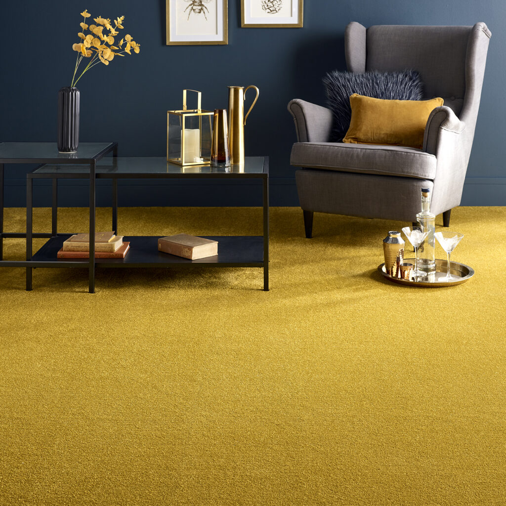 5 reasons to choose carpet• Parquet & Moquette